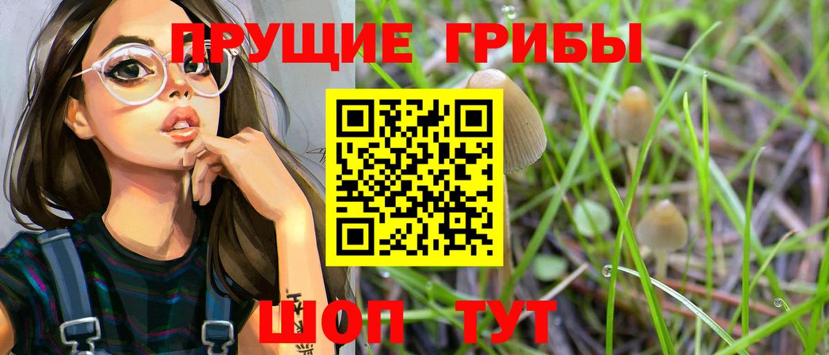 Усть-Илимск  Псилоцибиновые грибы Cubensis  Вход с VPN  Псилоцибиновые грибы прущие грибы 